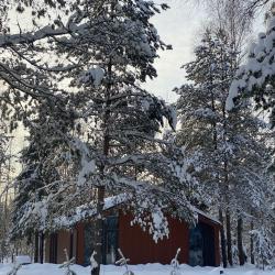Фото Отель Шале LATO (Лато) в соснах