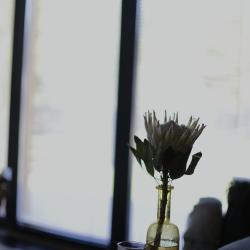 Фото Альпака апарт-отель