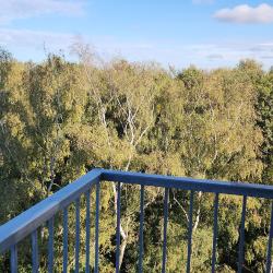 Фото Апартаменты в отеле Кристалл