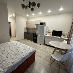 1-комнатные апартаменты студия