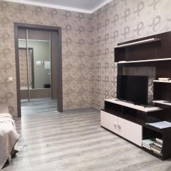 Фото Апартаменты на проспекте Ленина 95Б корпус 1