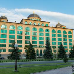 Фото Отель Артис Плаза