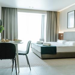 3-местные 1-комнатные апартаменты студия