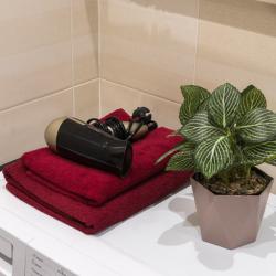 Апартаменты студия