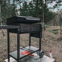 Фото Отель Дыши лесом