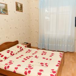 Комната стандарт с 1 двуспальной кроватью (общие удобства)