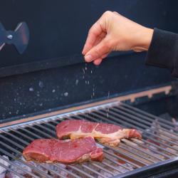 Фото Отель White Resort (Вайт Резорт) Поляны - Карелия