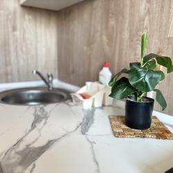 2-комнатные апартаменты эконом