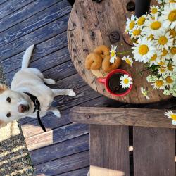 Фото Отель Вуд Плейс