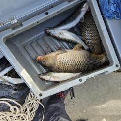 Фото Отель Каспийский Лотос