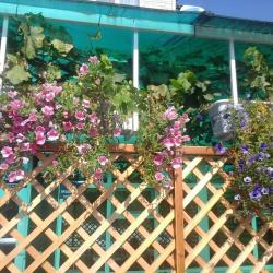 Фото Отель Надежда