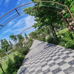 Фото Отель Cross Resort (Кросс Ресорт)