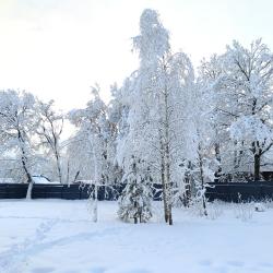Фото Отель Дом Чистое