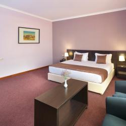 Фото Отель Ani Central Inn (Ани Централ Инн)