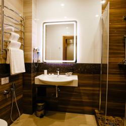 Номер студия премиум с 1 двуспальной кроватью