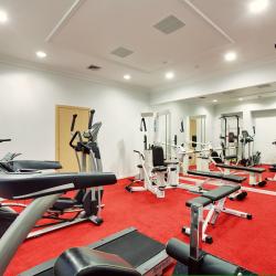 Фото Отель Villa Elena Hotel & Residences (Вилла Елена)