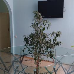 Фото Отель ТарЛеон
