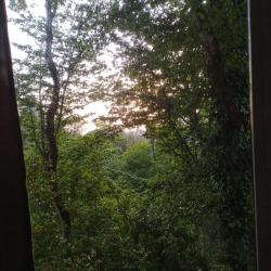 Фото Отель Town Park (Таун парк)