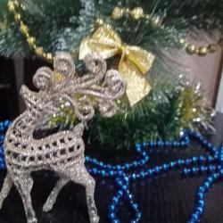 Фото Отель Абрикос