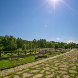 Фото Парк-отель Чайка