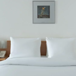 Фото Novotel Moscow Centre Hotel (Новотель Центр)