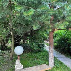 Фото Отель Плетёнка