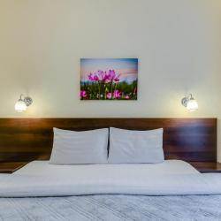 Фото Отель Пик