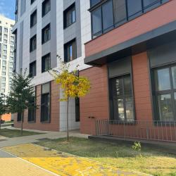 Фото Апартаменты на улице 9 января 68/2к4