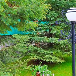 Фото Отель Беркут