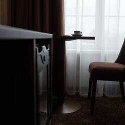 Фото Отель Родина