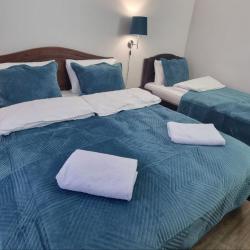 Фото Отель Шишкино-парк аэропорт Домодедово