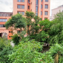 Фото Апартаменты на улице Пушкина