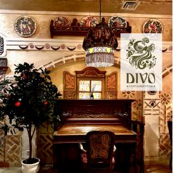 Двухместная Капсула Divo Comfort