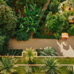 Фото Апартаменты Dreamland Oasis (Апартаменты Дримлэнд Оазис)