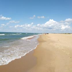 Фото Отель Пикассо