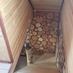 Коттедж Лесной