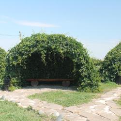 Фото Отель Роза Ветров