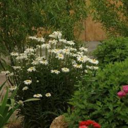 Фото Отель Любимая Усадьба