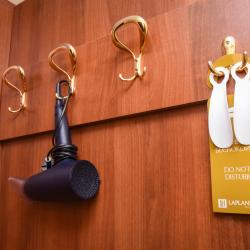 Фото Отель Лапландия