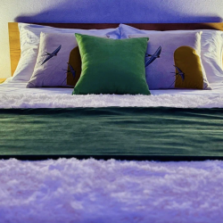 Фото Апартаменты на Пескова