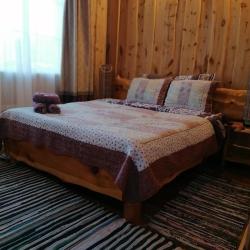 Фото Отель Country House Teletskoye (Кантри Хаус Телецкое)