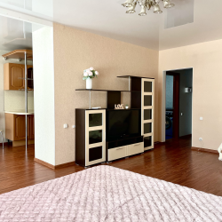 Фото Апартаменты на улице Пугачёвская 20