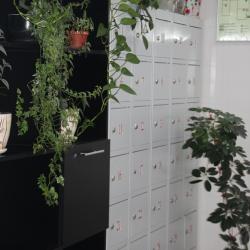 Фото Hostel Star (Хостел Стар) Мякинино