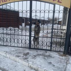 Фото Отель Чайхона