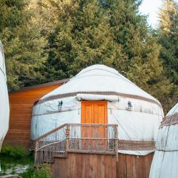 Фото Отель Ой-Карагай Лесная Сказка (Oi-Qaragai)