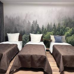 Фото Апартаменты на улице Романовская 17