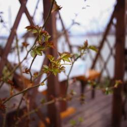 Фото Отель Панорама