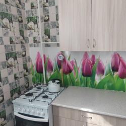 Фото Апартаменты на улице Юбилейная 20