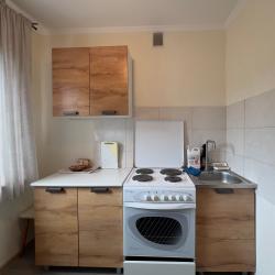 Фото Апартаменты на улице Сахалинская 5