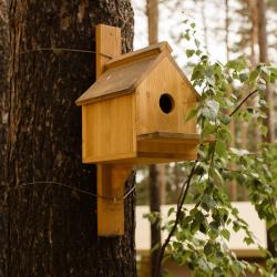 Фото Отель Сны Леса